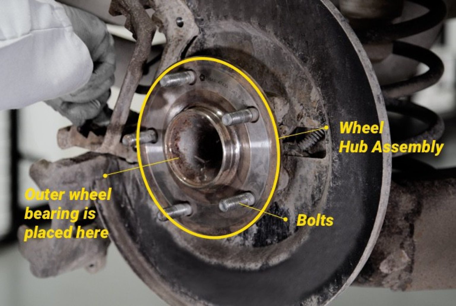 Front Wheel Hub Assembly Diagram DiagramInfo