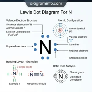 lewis dot diagram for n diagram with labeled components and explanations